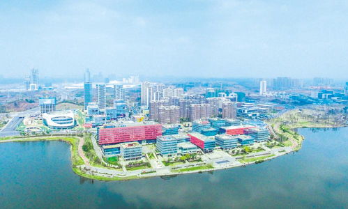 圖讀2021年成都市產業(yè)生態(tài)圈規(guī)劃——計算機網絡技術開發(fā)領域重點解析